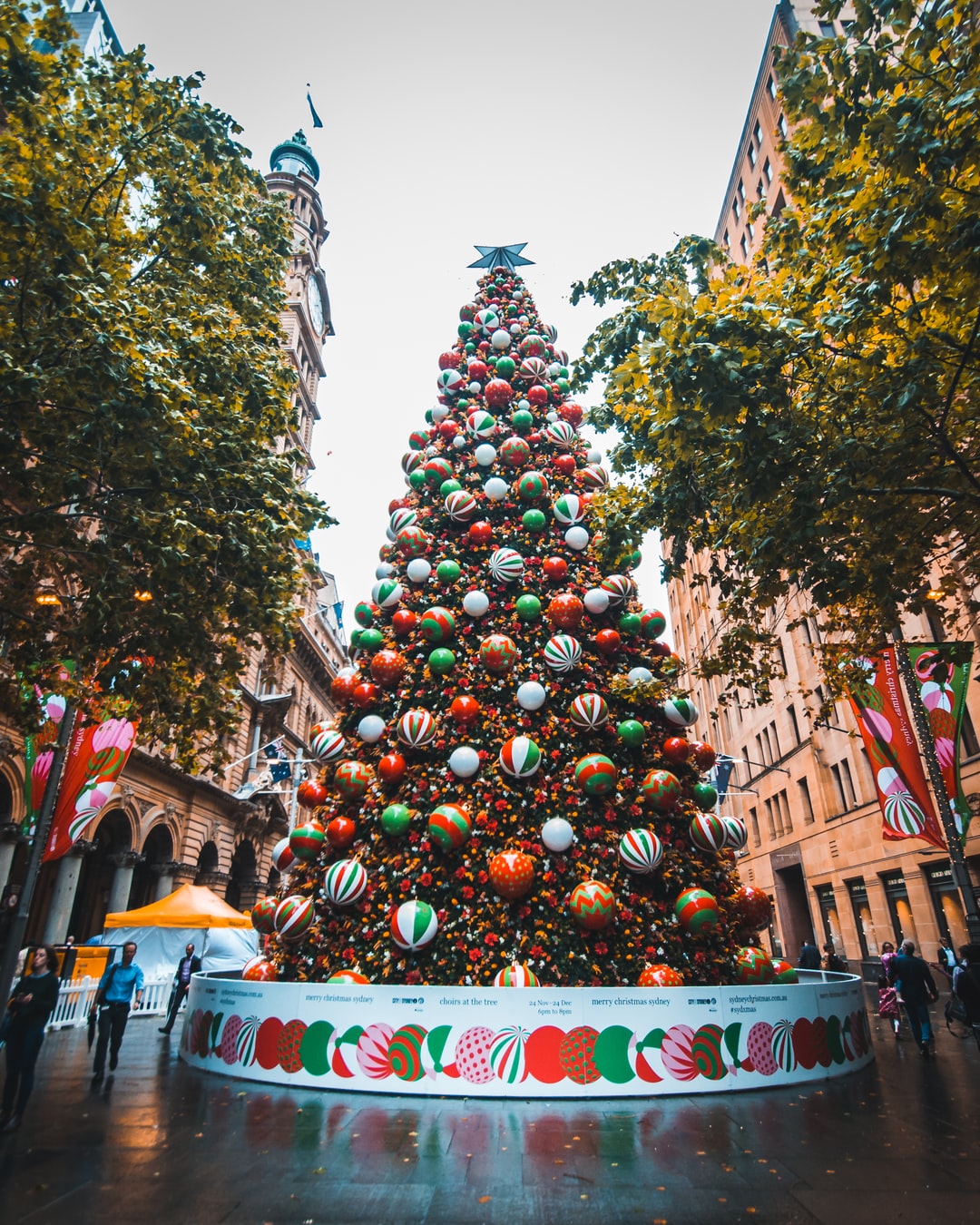 Noël en Australie tout ce qu'il faut savoir pour réussir cette fête